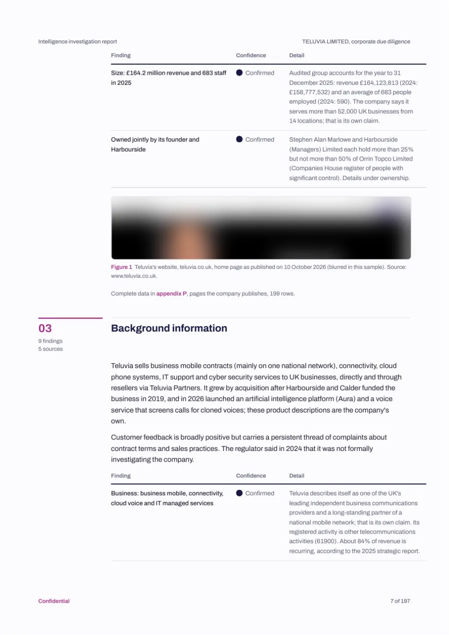 A findings page: each finding with its confidence and detail